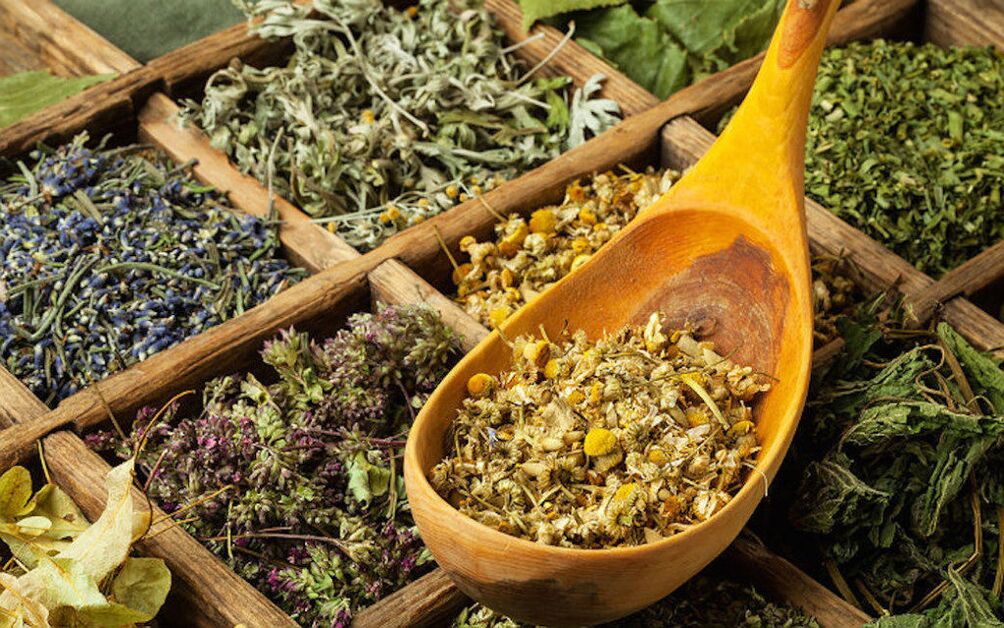 herbes séchées pour les parasites dans le corps